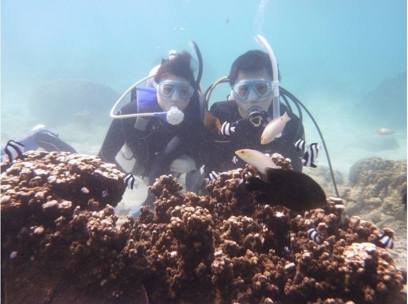 【那覇市内・那覇空港まで送迎あり】沖縄本島南部・糸満 自然海岸利用一組貸切お手軽体験ダイビング