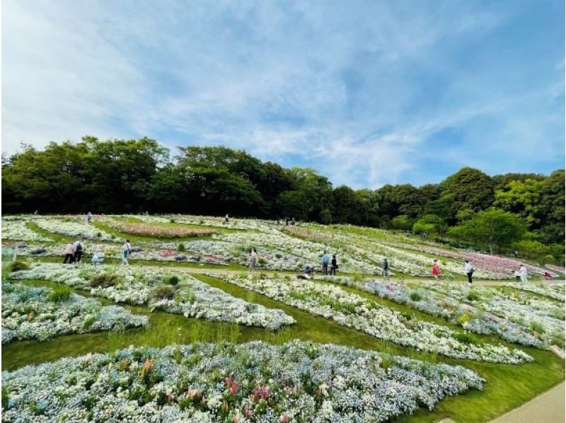Spring Satoyama Garden Festa & YOKOHAM AIR CABIN Ride Experience and Yokohama Popular Spot 3 View Bus Tour [029029-600]の紹介画像