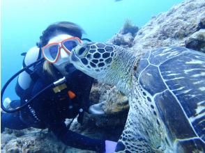 Ishigaki Island diving shop ABCdive