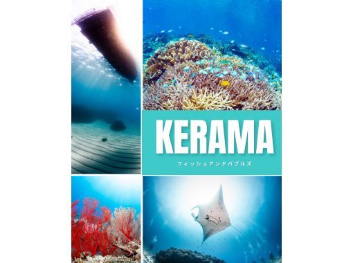 Even if you're alone, you can enjoy fun diving in Kerama Islands. Equipment transfers included.  の画像