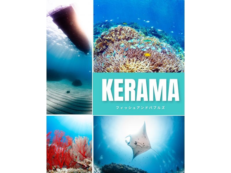 Even if you're alone, you can enjoy fun diving in Kerama Islands. Equipment transfers included.  の紹介画像