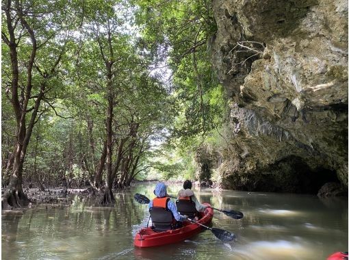 【石垣島・宮良川】人気スポットでマングローブカヤック！◆超快適背もたれ付＆安心の少人数制◆【グループ割有り】【撮影データプレゼント】の画像