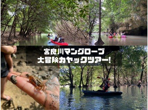 【石垣島・宮良川】島人ガイドがご案内！マングローブカヤック！◆超快適背もたれ付＆安心の少人数制◆【グループ割有り】【撮影データプレゼント】の画像