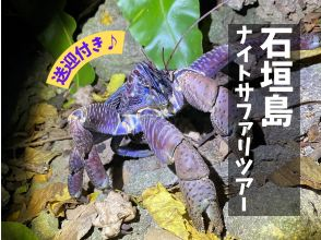 【石垣島/夜】１組限定♪南の島の生き物×星空！今人気の欲張りナイトサファリツアー♪