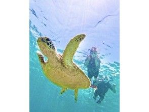 石垣島《圧倒的ウミガメ遭遇率 更新中 ！》【シュノーケル】送迎・写真データ無料！
