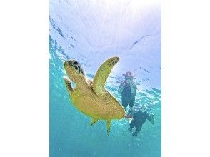 石垣島《圧倒的ウミガメ遭遇率99.99%更新中！ 》大満足シュノーケル！たくさんの熱帯魚やクマノミに会える『送迎・機材・写真データ全て無料