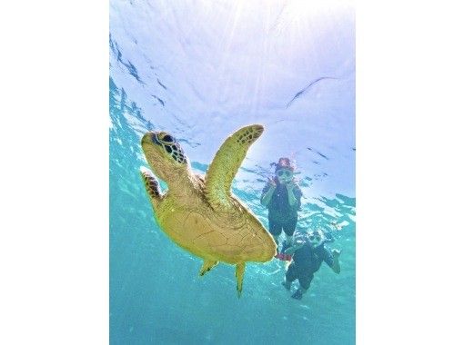 Same-day OK! [2 hours] 《Meet sea turtles with an overwhelming 99.99% chance of encountering them! Snorkel with plenty of tropical fish and clownfish 'Free transportation, equipment and photos'の画像