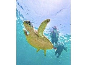 石垣島　ウミガメシュノーケル　マリンショップHAPPY