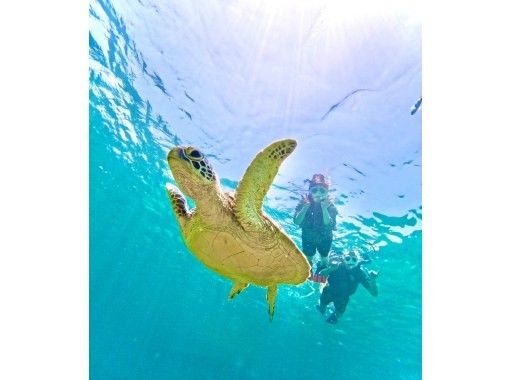 ★Student discount [OK on the day] 99.99% chance of encountering sea turtles! [Lowest price in the industry ★ Ages 3 and up can participate] Snorkel to see Nemo and lots of tropical fish! Free pick-up and drop-off, photosの画像