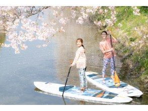 [Limited time only] Cherry blossom viewing SUP experience tour to the water village of Omihachiman!