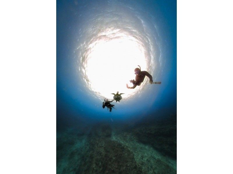 Swim with turtles [Onna Village Nakayukui] Beach entry skin diving (for beginners)の紹介画像