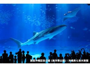 [Okinawa/Naha] Okinawa Churaumi Aquarium ticket | Naha HIS LeaLea lounge exchangeの画像