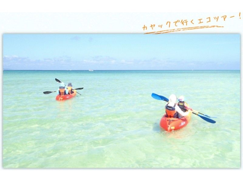 【石垣島・初心者向け！写真プレゼント！】シーカヤック 1時間体験ツアー