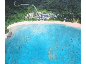 セルリアンブルー(Cerulean Blue OKINAWA)