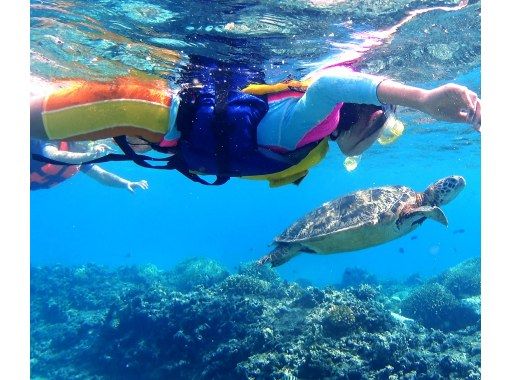 【那覇発／慶良間日帰り】チャータークルーザーで行く！慶良間諸島『渡嘉敷島』海がめシュノーケリングツアーの画像