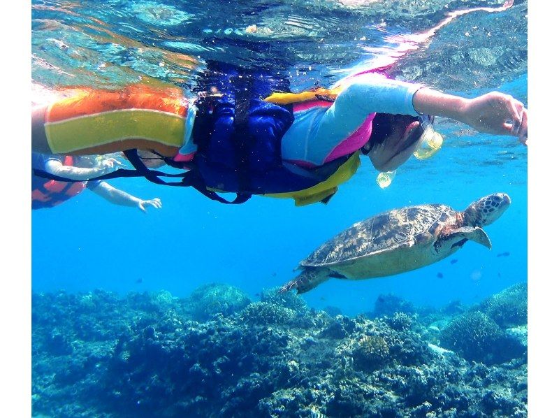 【北海道・SUP体験】透明度の高い支笏湖の湖面をクルージング!SUP体験(半日コース)の画像