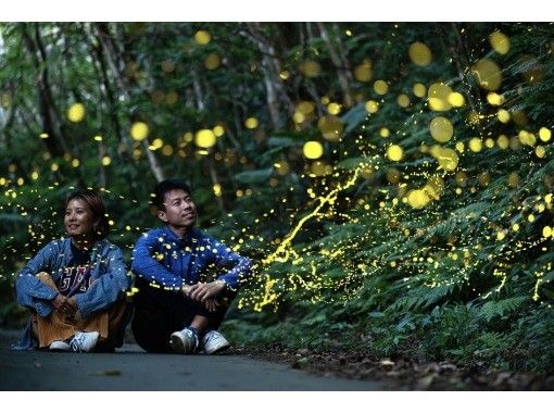 【石垣島】ネイティブガイドが案内 2026年3月〜5月期間限定 ヤエヤマヒメボタルの乱舞＋星空鑑賞＋満天の星空フォトツアーの画像