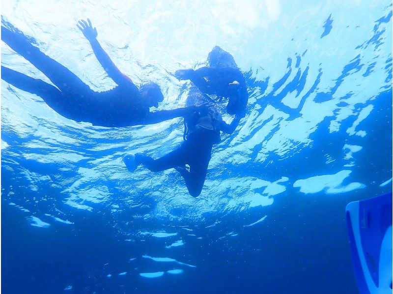 【北海道・SUP体験】透明度の高い支笏湖の湖面をクルージング！SUP体験（半日コース）の画像