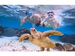 [Okinawa, Miyakojima] 100% encounter rate continues! Snorkel with sea turtles in the world's clearest ocean <Free photo data> Beginners and children welcome! Instant booking possible!の画像