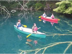 [Lake Towada Canoe Tour] Explore the special protected area of ​​the world's largest double caldera lake! I have a dogの画像
