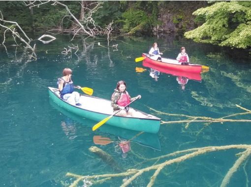 グリランド【十和田湖カヌーツアー】リブツアーもセットでお得。最大の二重カルデラ湖の特別保護区を探検！奥入瀬渓流から車で5分！いぬいますよの画像