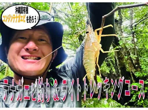 SALE! [Enjoy negative ions to the fullest!] Fishing for lobsters and light trekking at a waterfall on Ishigaki Island [Enjoy even in bad weather!]の画像