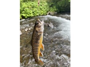 【北海道・弟子屈】心と体をリフレッシュ！北海道の大自然を満喫する渓流釣りツアー