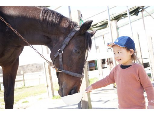 【鳥取・大山】馬とふれあい体験◆大山乗馬センター入場料◆馬のおやつ付の画像