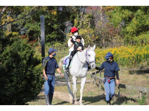 【鳥取・大山】2歳からOK！引き馬コース◆サラブレッドに乗ってみよう◆馬のおやつ付の画像