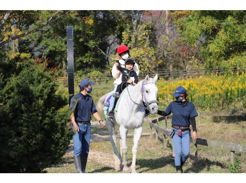 【鳥取・大山】2歳からOK！引き馬コース◆サラブレッドに乗ってみよう◆馬のおやつ付の紹介画像