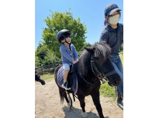 【鳥取・大山】お子様限定！ポニー乗馬◆ミニチュアホースに乗ってみよう◆馬のおやつ付の画像