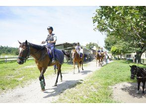 【鳥取・大山】3歳から！お散歩ハーフ◆乗馬トレッキング◆馬のおやつ付