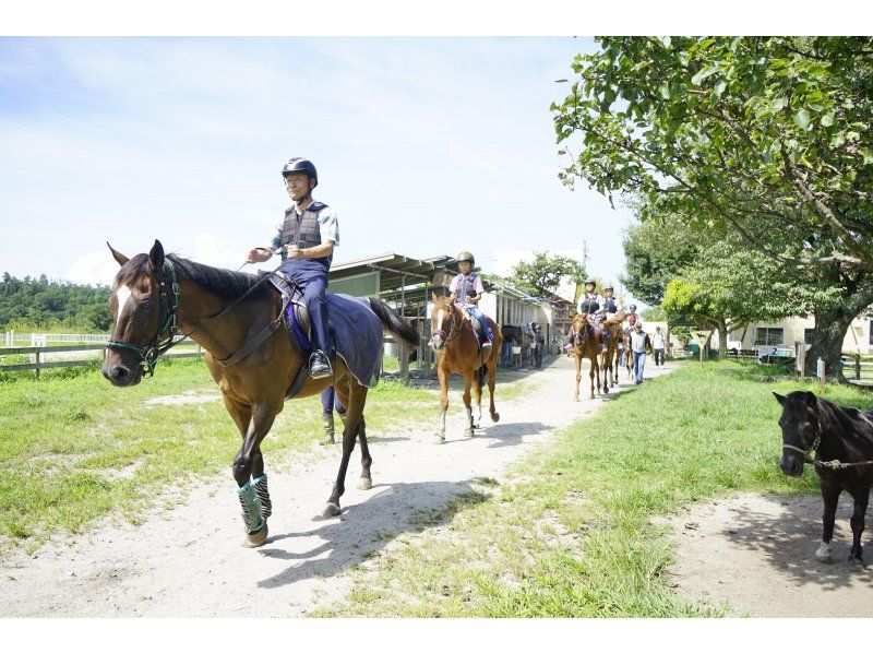 【鳥取・大山】3歳から！お散歩ハーフ◆乗馬トレッキング◆馬のおやつ付の紹介画像