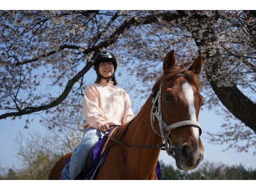 【鳥取・大山】最長コース！お散歩ロング◆乗馬トレッキング◆馬のおやつ付の画像