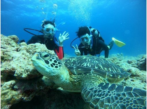 石垣島【無需執照，歡迎初學者，乘船前往】體驗可以看到蝠鱝和海龜的潛水之旅（1天）の画像