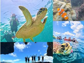 ★Student discount★Blue Cave [Lowest price in the industry★Participants from 3 years old] 99% chance of encountering sea turtles★Available on the day★Meet Nemo and lots of tropical fish! Free transportation/equipment/photos