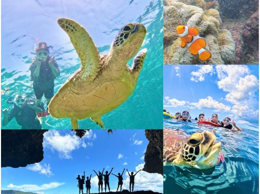 ★Student discount★Blue Cave [Lowest price in the industry★Participants from 3 years old] 99% chance of encountering sea turtles★Available on the day★Meet Nemo and lots of tropical fish! Free transportation/equipment/photosの画像