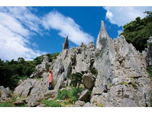 ★10月1日～★【沖縄・那覇発】いざやんばるへ！クイナの森と大石林山を巡る、やんばる国立公園自然満喫コース（Cコース）の画像