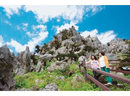 ★From October 1st★ [Departing from Naha, Okinawa] Let's go to Yanbaru! Tour the Rail Forest and Daisekirinzan Mountain, Yanbaru National Park Nature Enjoyment Course (Course C)の画像