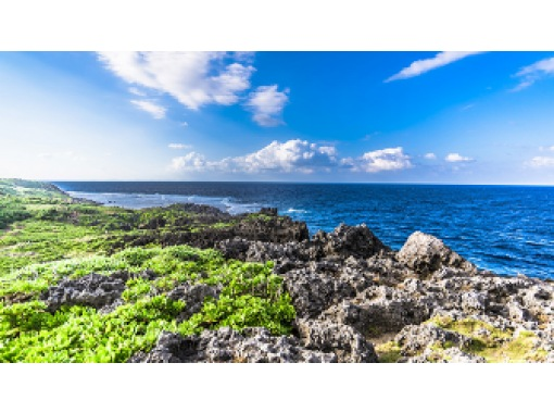 HIP-HOP BUS【沖縄・那覇発】<海to森>神秘のアスムイハイクスと絶景 辺戸岬・古宇利島・大宜味シークヮーサーパーク(Cコース) HIP-HOP BUS【沖縄・那覇発】<海to森>神秘のアスムイハイクスと絶景 辺戸岬・古宇利島・大宜味シークヮーサーパーク(Cコース)