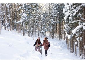 [新泻/越后汤泽]雪鞋之旅，您可以享受最好的粉雪！欢迎初学者！の画像