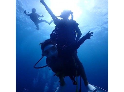 沖繩/石垣島/有趣的潛水 我們還將引導您前往世界領先的蝠鱝點之一！對於C卡持有者の画像