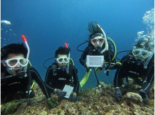 石垣岛 取得执照（2天） 开放水域潜水员课程の画像