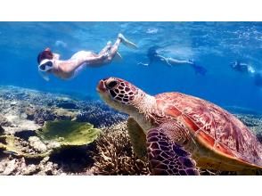 【沖縄・宮古島】地元船長と行く！国内最大級のサンゴ礁(八重干瀬)でウミガメと泳ぐツアー(ドローン撮影込み)の画像