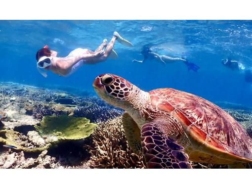 [The very popular Yabiji] Go with a local captain! A tour to swim with sea turtles at one of the largest coral reefs in Japan (drone photography included)の画像