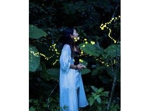 [Natural illuminations♪] Set plans are great value♪☆ Yaeyama firefly viewing plan ☆の画像