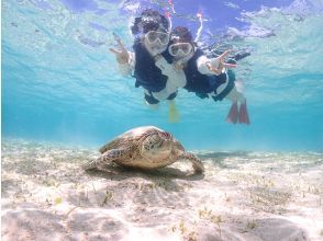 [Have fun with young guides] [A must-see for girls' trips!] Special plan for 20-29 year olds! Sea turtle snorkeling! Vertical video recording!の画像