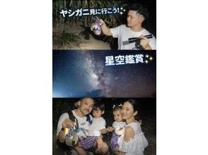 【石垣島／ナイトツアー】ヤシガニ遭遇率99%★天の川鑑賞★お子様連れにもおすすめ！夜のジャングルで生き物に触れよう★（写真データ無料）