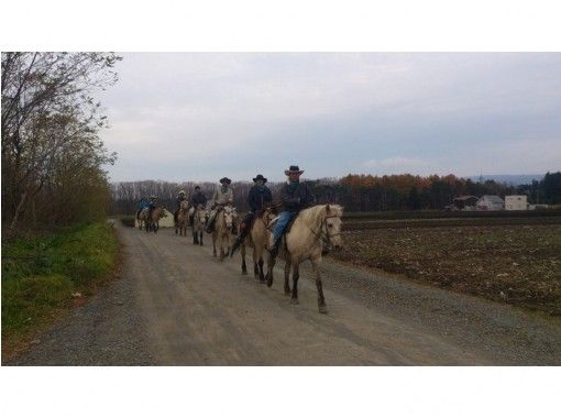 【北海道 函館 乗馬】手軽にホーストレッキング外乗 お散歩コース(30分)の画像