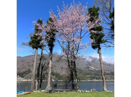 [Nagano, Lake Aoki SUP] Spring at Lake Aoki! SUP rental for a full 2 ​​hours!の画像